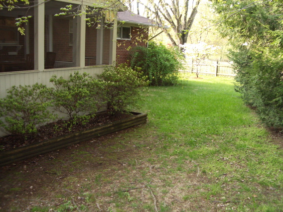 IMGP0502