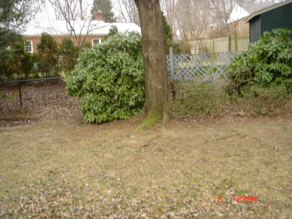 DSC00226