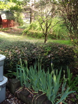 IMGP0500