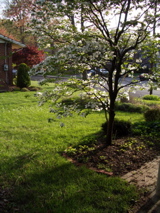IMGP0501